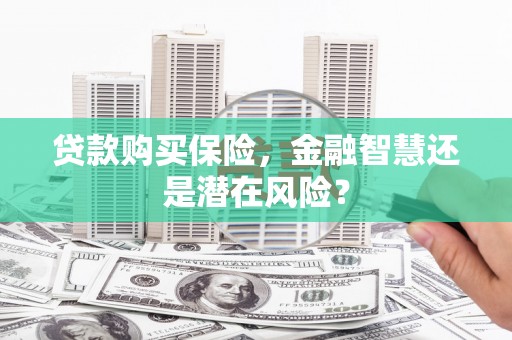 宣威贷款购买保险，金融智慧还是潜在风险？