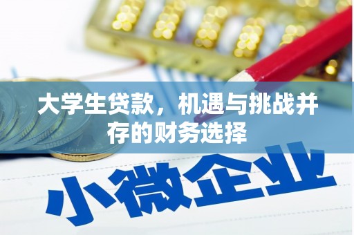 宣威大学生贷款，机遇与挑战并存的财务选择