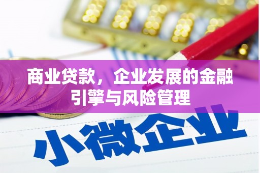 宣威商业贷款，企业发展的金融引擎与风险管理