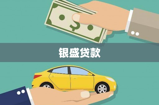宣威银盛贷款