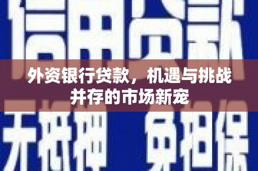 宣威外资银行贷款，机遇与挑战并存的市场新宠