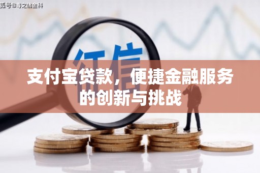 宣威支付宝贷款，便捷金融服务的创新与挑战
