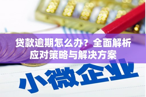 宣威贷款逾期怎么办？全面解析应对策略与解决方案