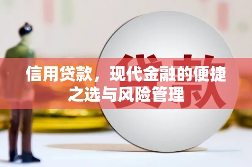 宣威信用贷款，现代金融的便捷之选与风险管理