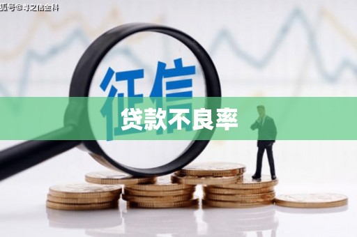 宣威贷款不良率