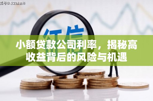 宣威小额贷款公司利率，揭秘高收益背后的风险与机遇