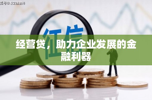 宣威经营贷，助力企业发展的金融利器