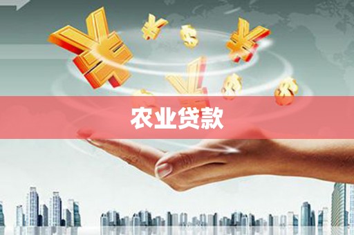 宣威农业贷款