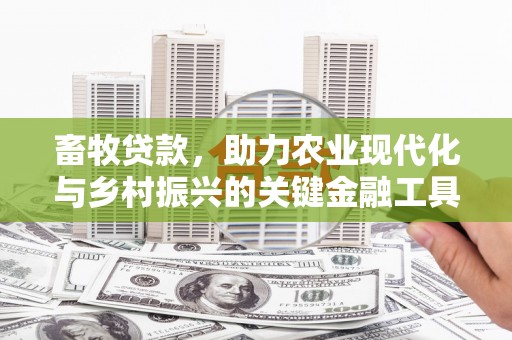 宣威畜牧贷款，助力农业现代化与乡村振兴的关键金融工具