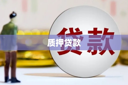 宣威质押贷款
