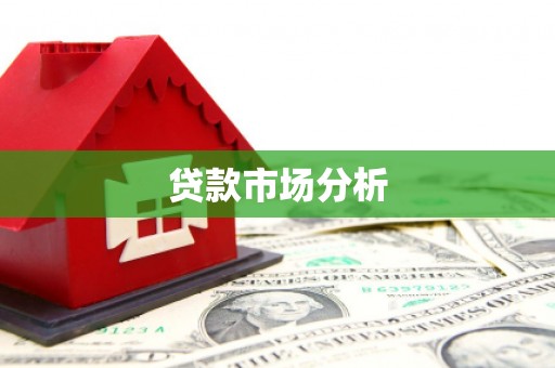 宣威贷款市场分析