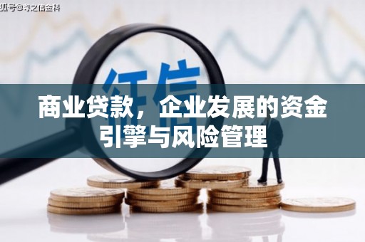 宣威商业贷款，企业发展的资金引擎与风险管理