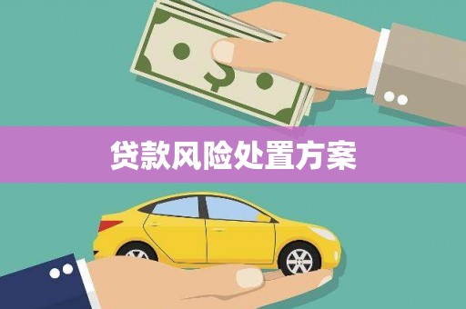 宣威贷款风险处置方案