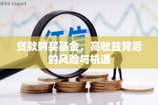 宣威贷款购买基金，高收益背后的风险与机遇