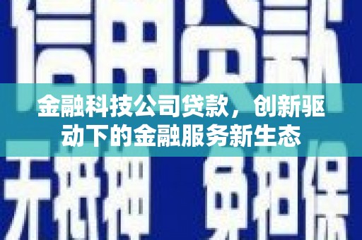 宣威金融科技公司贷款，创新驱动下的金融服务新生态
