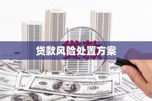 宣威贷款风险处置方案