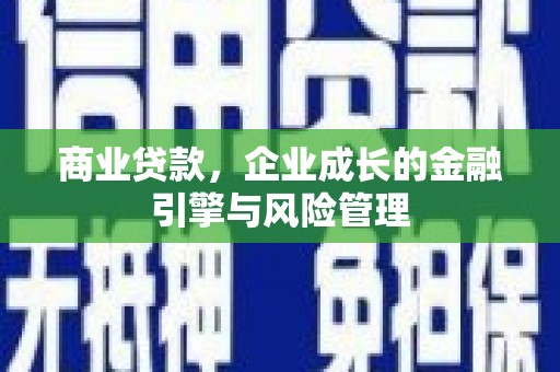 宣威商业贷款，企业成长的金融引擎与风险管理