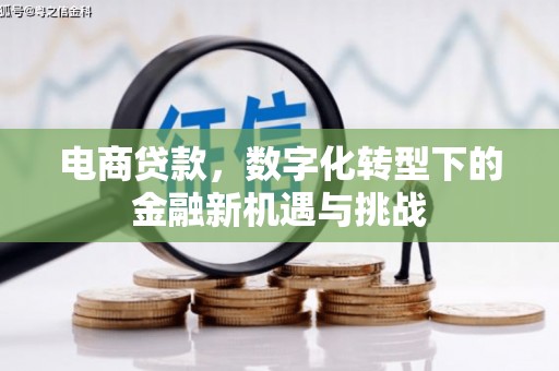 宣威电商贷款，数字化转型下的金融新机遇与挑战