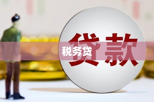 宣威税务贷