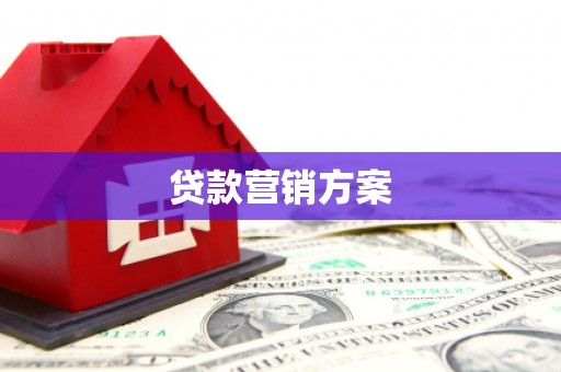 宣威贷款营销方案