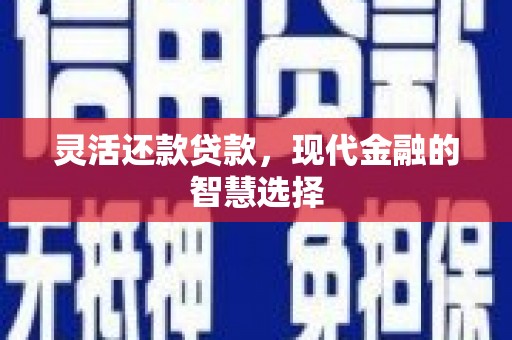 宣威灵活还款贷款，现代金融的智慧选择