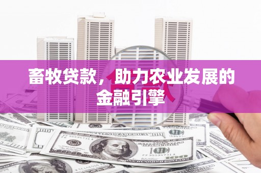 宣威畜牧贷款，助力农业发展的金融引擎