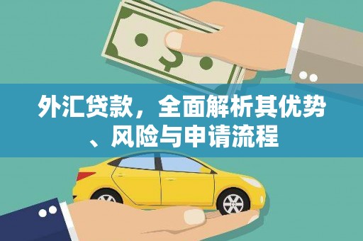 宣威外汇贷款，全面解析其优势、风险与申请流程