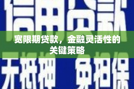 宣威宽限期贷款，金融灵活性的关键策略