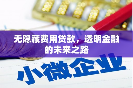 宣威无隐藏费用贷款，透明金融的未来之路