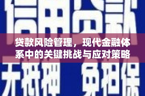 宣威贷款风险管理，现代金融体系中的关键挑战与应对策略
