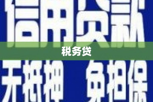 宣威税务贷