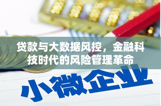 宣威贷款与大数据风控，金融科技时代的风险管理革命