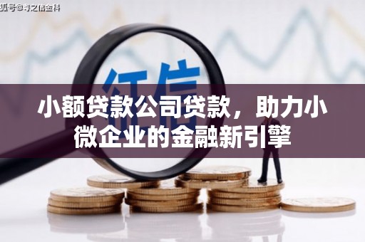 宣威小额贷款公司贷款，助力小微企业的金融新引擎