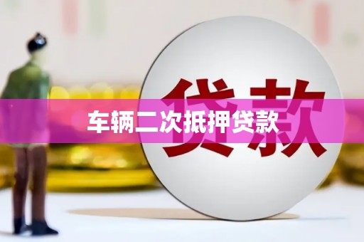 宣威车辆二次抵押贷款