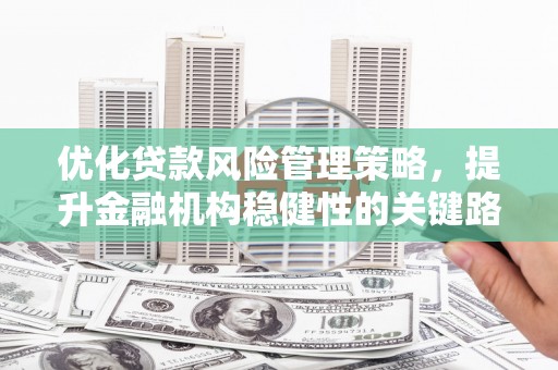 宣威优化贷款风险管理策略，提升金融机构稳健性的关键路径