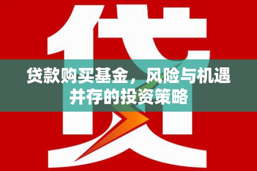 宣威贷款购买基金，风险与机遇并存的投资策略