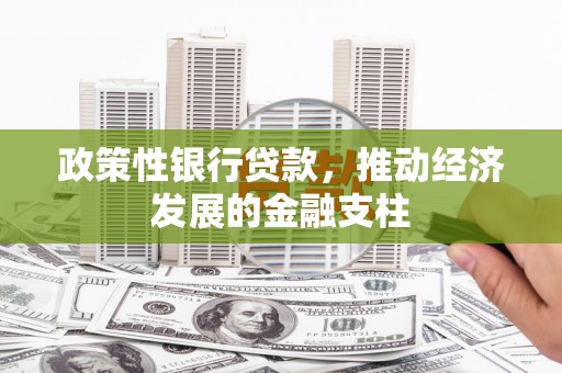 宣威政策性银行贷款，推动经济发展的金融支柱