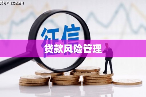 宣威贷款风险管理