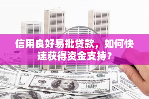 宣威信用良好易批贷款，如何快速获得资金支持？