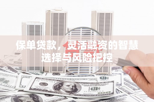 宣威保单贷款，灵活融资的智慧选择与风险把控