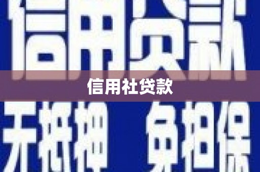 宣威信用社贷款