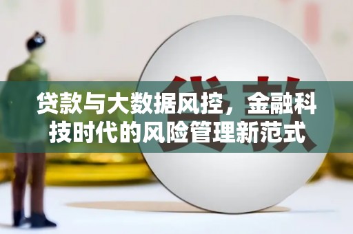 宣威贷款与大数据风控，金融科技时代的风险管理新范式