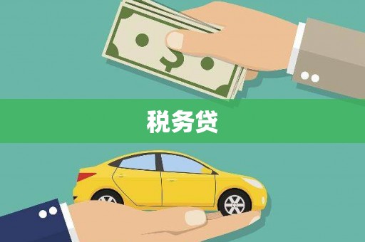 宣威税务贷
