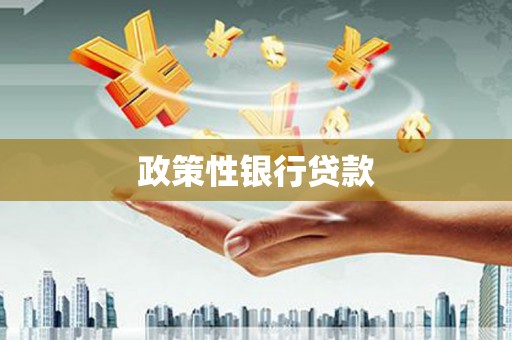 宣威政策性银行贷款