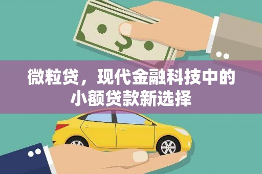 宣威微粒贷，现代金融科技中的小额贷款新选择