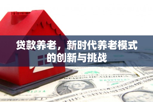 宣威贷款养老，新时代养老模式的创新与挑战