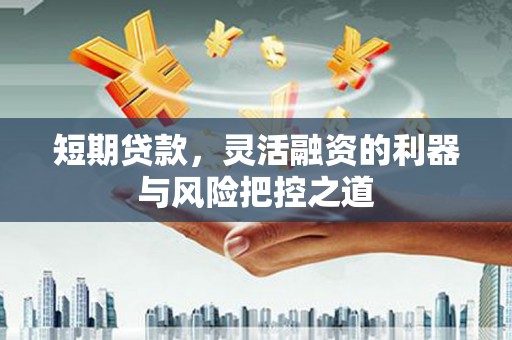 宣威短期贷款，灵活融资的利器与风险把控之道