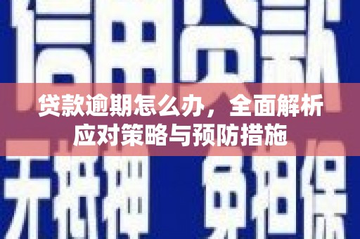 宣威贷款逾期怎么办，全面解析应对策略与预防措施