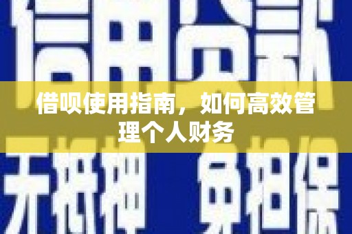 宣威借呗使用指南，如何高效管理个人财务