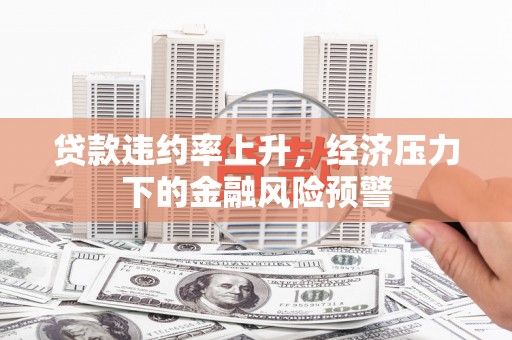 宣威贷款违约率上升，经济压力下的金融风险预警
